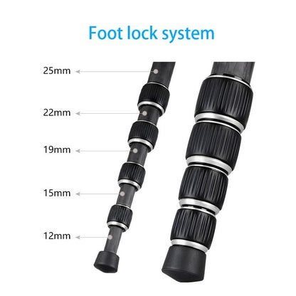 BEXIN BX255C K30 Portable Carbon Fiber Tripod for Camera Dslr - free shipping - PMC Jewellery - Order now!