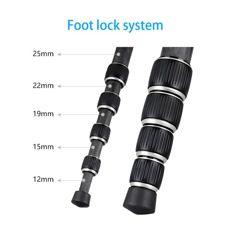 BEXIN BX255C K30 Portable Carbon Fiber Tripod for Camera Dslr