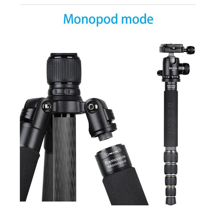 BEXIN BX255C K30 Portable Carbon Fiber Tripod for Camera Dslr - free shipping - PMC Jewellery - Order now!