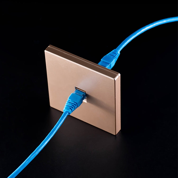 CAT.6 Shielded Pass-through Network Module, Dual Ports Panel + Shielded Pass-through + Telephone Socket (Gold)