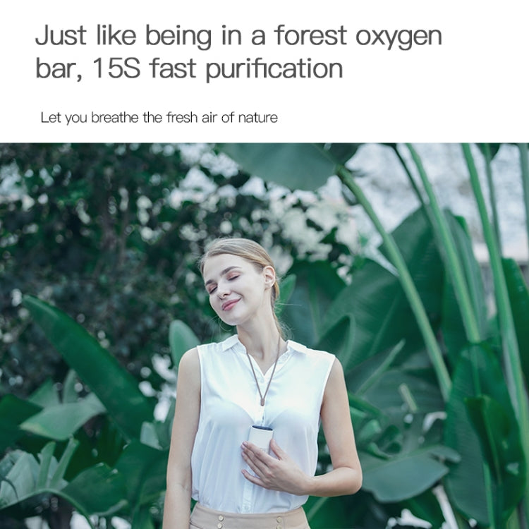 HE-K001 Hanging Neck Negative USB Rechargeable Ion Air Purifier Portable Household Formaldehyde Removal Portable Purifier(Black) - free shipping - PMC TechLife - Order now!