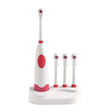 2W Creative Household Waterproof Rotary Electric Toothbrush Set with 4 Replacement Brush Heads & Base, 8500 Revolutions Per Minute(Red) - Toothbrushes by PMC TechLife | Online Shopping South Africa | PMC TechLife | Buy Now Pay Later Mobicred