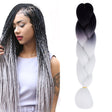 Fashion Color Gradient Individual Braid Wigs Chemical Fiber Big Braids, Length: 60cm(54Black+White) - free shipping - PMC TechLife - Order now!