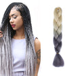 Fashion Color Gradient Individual Braid Wigs Chemical Fiber Big Braids, Length: 60cm(59Beige+Grey) - free shipping - PMC TechLife - Order now!