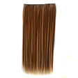 6H27H613# One-piece Seamless Five-clip Wig Long Straight Wig Piece - free shipping - PMC TechLife - Order now!