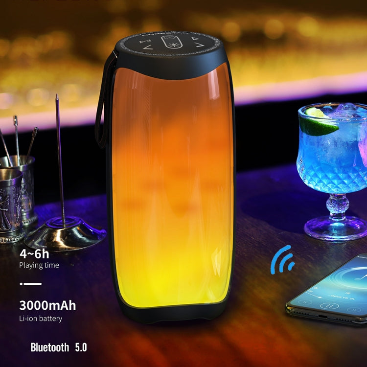 HOPESTAR P40 Bluetooth 5.0 Portable Water-resistant Wireless Bluetooth Speaker (Black)