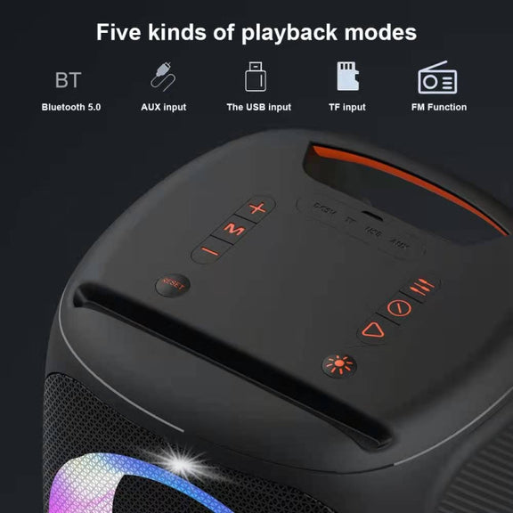 HOPESTAR Party100 Bluetooth 5.0 Portable Water-resistant Wireless Bluetooth Speaker with Mobile Charging Function (Black)