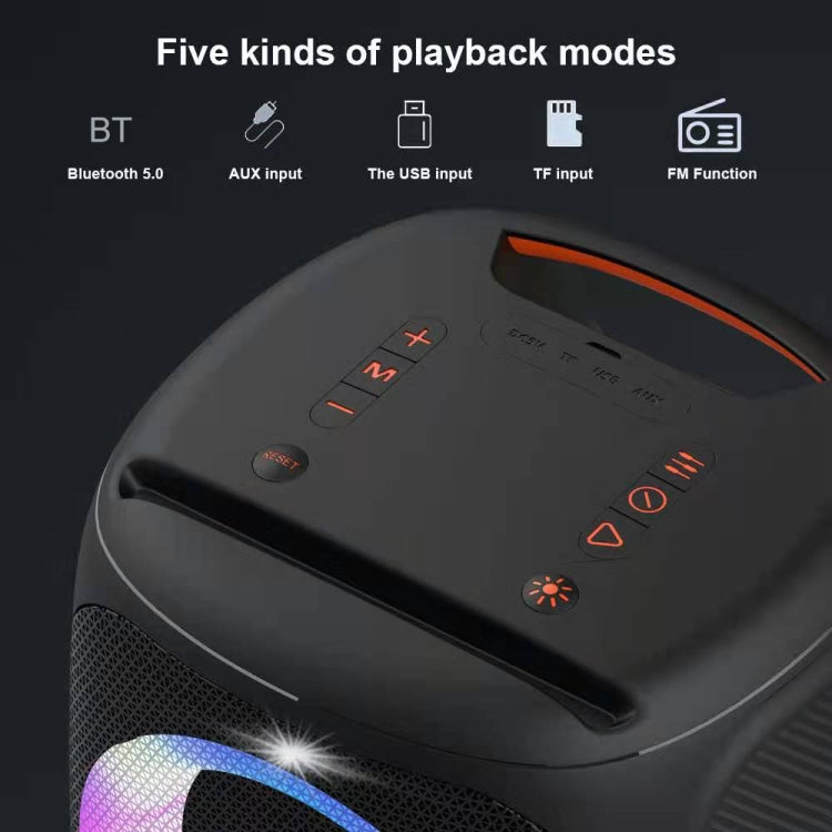 HOPESTAR Party100 Bluetooth 5.0 Portable Water-resistant Wireless Bluetooth Speaker with Mobile Charging Function (Black)