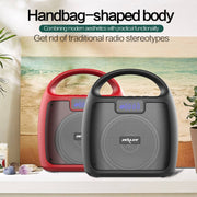 ZEALOT S42 Portable FM Radio Wireless Bluetooth Speaker with Built-in Mic, Support Hands-Free Call & TF Card & AUX (Black)