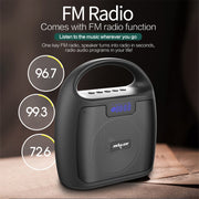 ZEALOT S42 Portable FM Radio Wireless Bluetooth Speaker with Built-in Mic, Support Hands-Free Call & TF Card & AUX (Black)