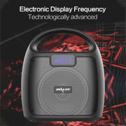 ZEALOT S42 Portable FM Radio Wireless Bluetooth Speaker with Built-in Mic, Support Hands-Free Call & TF Card & AUX (Black)