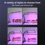 LED0295_5.jpg@cca1da99d2b58c32a0dc3db5e02bc011