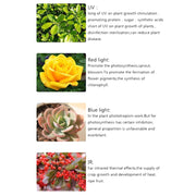 45W SMD 2835 Red + Blue Light LED Plant Growth Light, 225 LEDs Greenhouse Light Aquarium Light, AC 85-265V