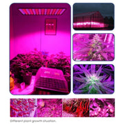 45W SMD 2835 Red + Blue Light LED Plant Growth Light, 225 LEDs Greenhouse Light Aquarium Light, AC 85-265V