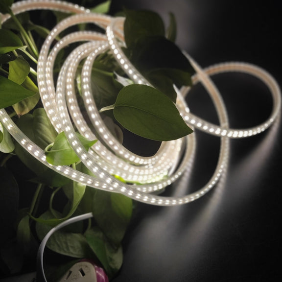 LED1270_B2.jpg@3d8e1eb034ba34a14ce2c89ab440a8de