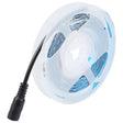 4:1 2m Bare Board 5050 SMD RGB LED Rope Light, 12V 2A 100-240V (UK Plug) - Bare Board Light by PMC TechLife | Online Shopping South Africa | PMC TechLife | Buy Now Pay Later Mobicred