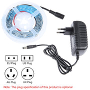4:1 2m Bare Board 5050 SMD RGB LED Rope Light, 12V 2A 100-240V (UK Plug)