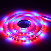 4:1 2m Bare Board 5050 SMD RGB LED Rope Light, 12V 2A 100-240V (UK Plug)