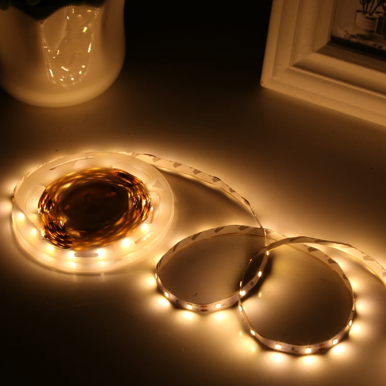 Bare Board 2835 SMD Dimmable White Light / Warm Light LED Rope Light, 60 LED/m, Length: 5m, 12V 2A 100-240V(UK Plug) - Bare Board Light by PMC Jewellery | Online Shopping South Africa | PMC Jewellery | Buy Now Pay Later Mobicred