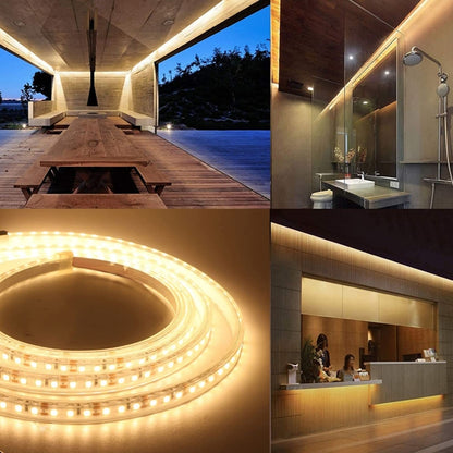 Bare Board 2835 SMD Dimmable White Light / Warm Light LED Rope Light, 60 LED/m, Length: 5m, 12V 2A 100-240V(EU Plug) - Bare Board Light by PMC Jewellery | Online Shopping South Africa | PMC Jewellery | Buy Now Pay Later Mobicred