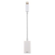 NK102 8 Pin Male to Single USB Female Port Camera Adapter, Support for iOS 13.0 and Above System - Converter & Adapter by PMC TechLife | Online Shopping South Africa | PMC TechLife | Buy Now Pay Later Mobicred