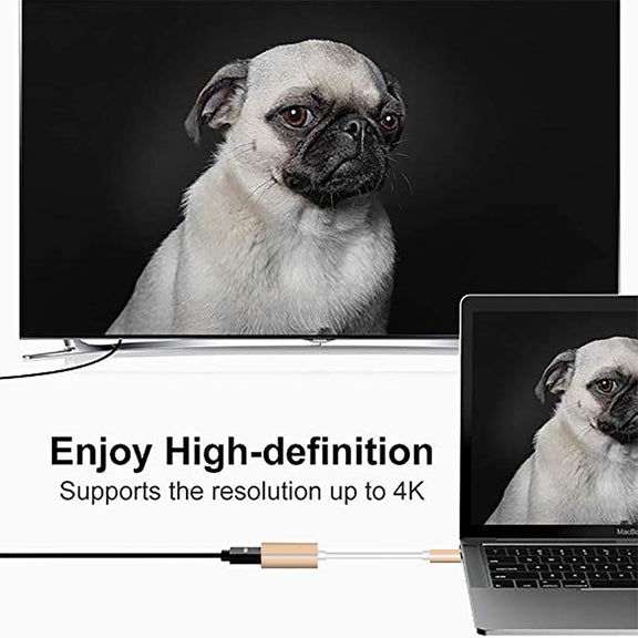 USB-C / Type-C 3.1 Male to Mini DP Female HD Converter, Length: 12cm(Gold)