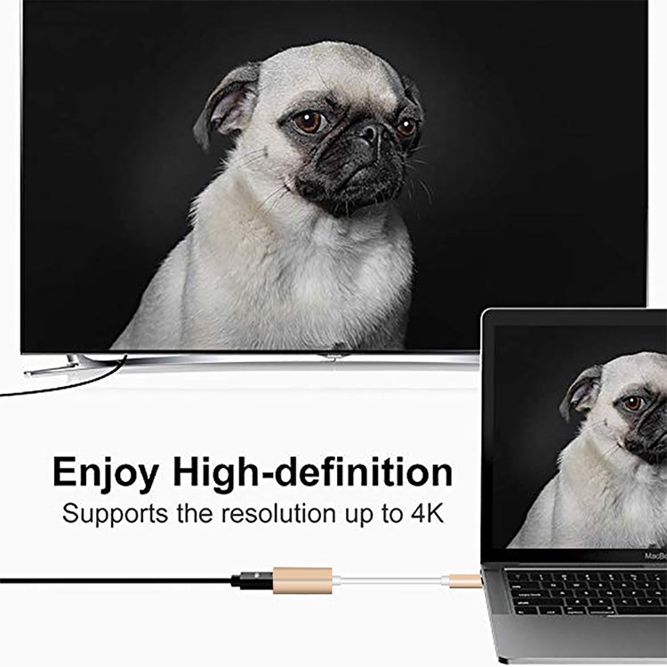 USB-C / Type-C 3.1 Male to Mini DP Female HD Converter, Length: 12cm(Gold)