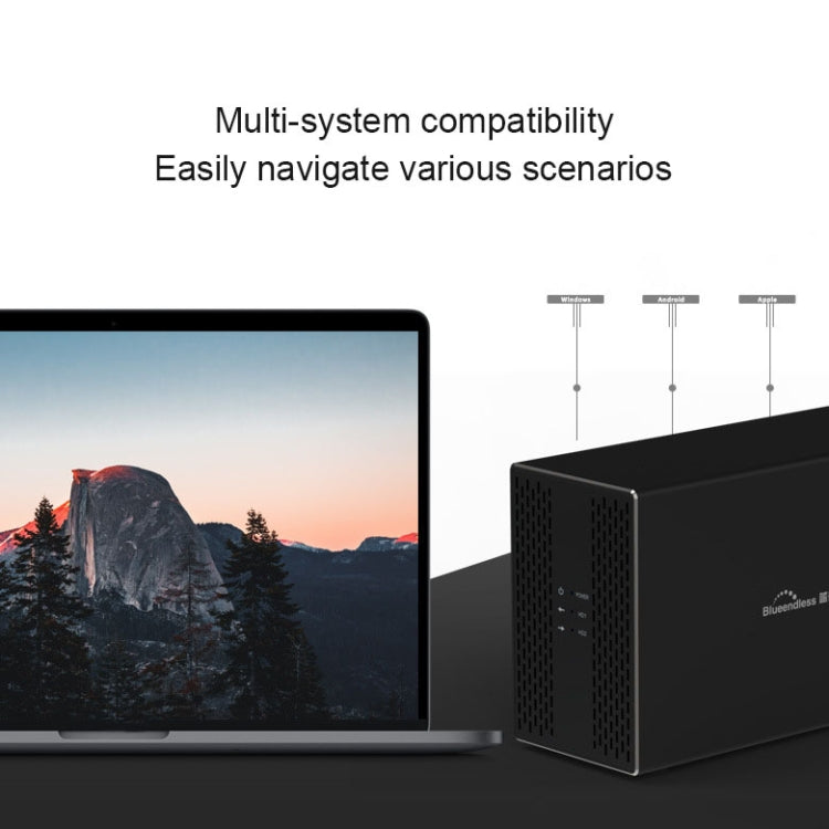 Blueendless Type-C / USB-C Interface 3.5 inch 2 Bay RAID Combination Array HDD External Enclosure (AU Plug)