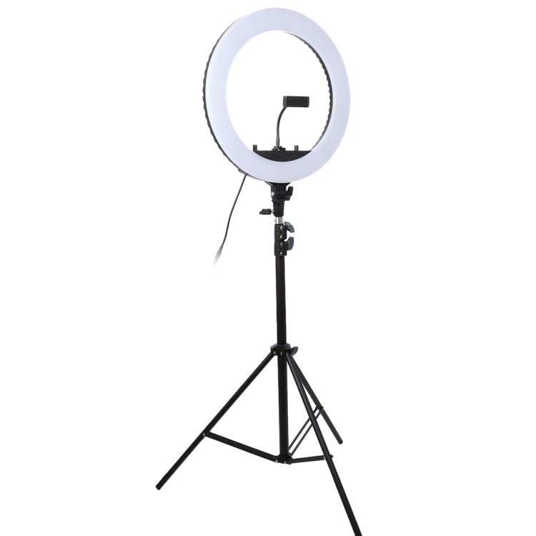 18 inch 55W Two-speed Dimmable Anchor Photography Self-timer LED Ring Fill-in Light with Tripod - Ring Light by PMC TechLife | Online Shopping South Africa | PMC TechLife | Buy Now Pay Later Mobicred