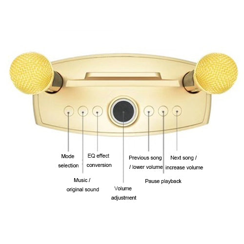 SD-306 2 in 1 Family KTV Portable Wireless Live Dual Microphone + Bluetooth Speaker(Black) - Microphone by PMC TechLife | Online Shopping South Africa | PMC TechLife | Buy Now Pay Later Mobicred