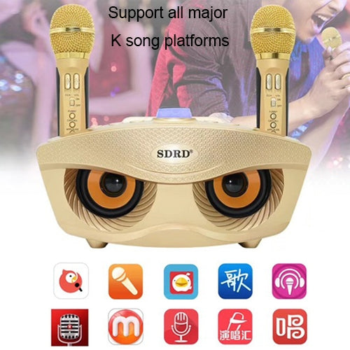 SD-306 2 in 1 Family KTV Portable Wireless Live Dual Microphone + Bluetooth Speaker(Black) - Microphone by PMC TechLife | Online Shopping South Africa | PMC TechLife | Buy Now Pay Later Mobicred