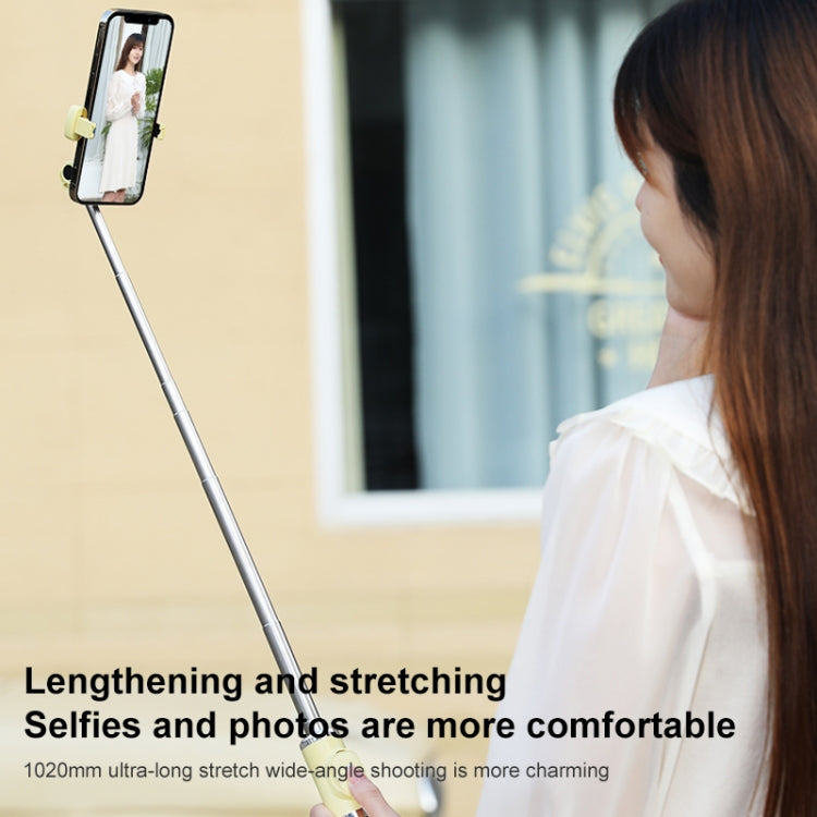 Bluetooth Remote Control Tripod Selfie Stick (Black) - Selfie Light by PMC TechLife | Online Shopping South Africa | PMC TechLife | Buy Now Pay Later Mobicred
