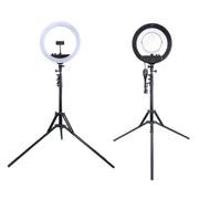 MANTOO RL-12 II 100-240V 28W 12 inch Two-color Dimmable Ring Fill Light with Tripod