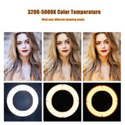 MANTOO RL-18 II 100-240V 55W 18 inch Two-color Dimmable Ring Fill Light with Tripod