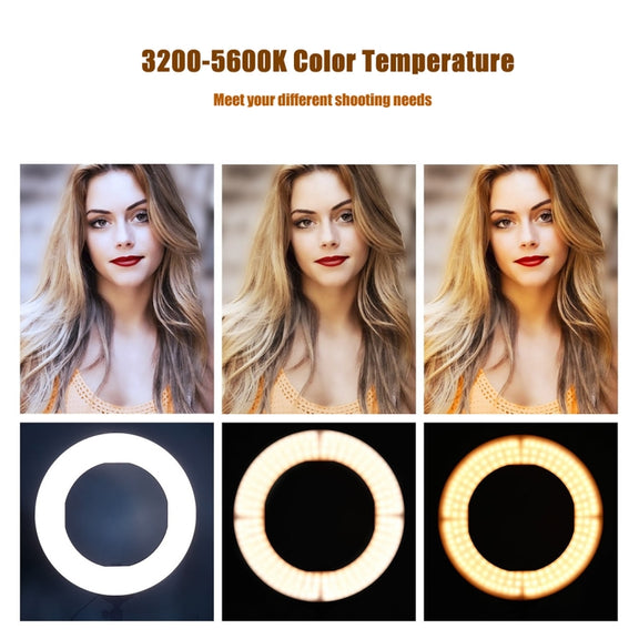 MANTOO RL-18 II 100-240V 55W 18 inch Two-color Dimmable Ring Fill Light with Tripod