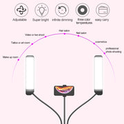 RK39 Portable Tri-color Adjustable Brightness Double Arms Fill Light with Phone Clip(Black)