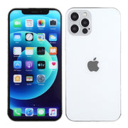 For iPhone 12 Pro Max Color Screen Non-Working Fake Dummy Display Model(Silver)