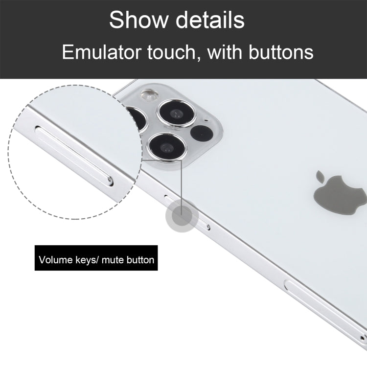 For iPhone 12 Pro Max Color Screen Non-Working Fake Dummy Display Model(Silver)