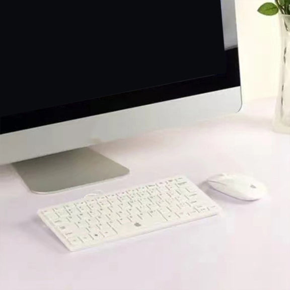 For Apple iMac 21.5 inch Black Screen Non-Working Fake Dummy Display Model(Silver)