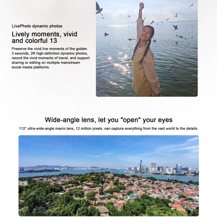 Honor 300, 12GB+256GB, Screen Fingerprint, 6.7 inch MagicOS 9.0 / Android 15 Snapdragon 7 Gen 3 Octa Core, Network: 5G, NFC, OTG, Support Google Play (Grey) - free shipping - PMc TechLife - Order now!