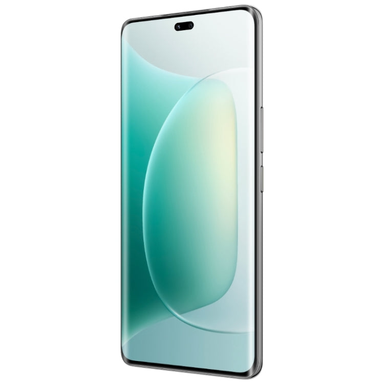 Honor 300 Pro, 12GB+256GB, Screen Fingerprint, 6.78 inch MagicOS 9.0 / Android 15 Snapdragon 8 Gen 3 Octa Core, Network: 5G, NFC, OTG, Support Google Play (Black) - free shipping - PMc TechLife - Order now!