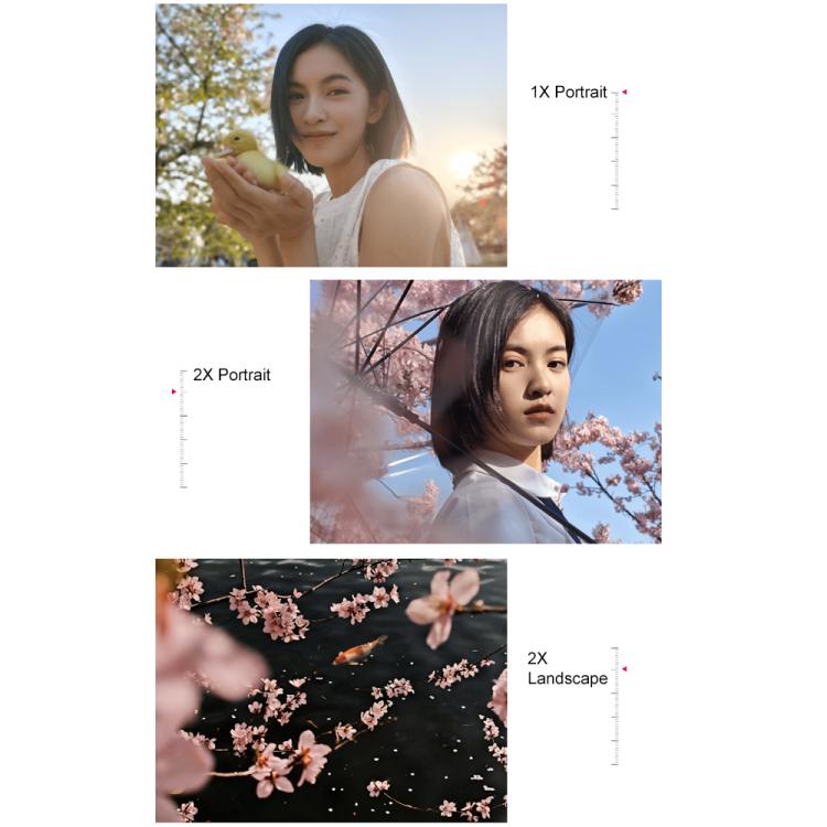 MPH3532_B10.jpg@911729c05c5f389780b1a12b734bcce4