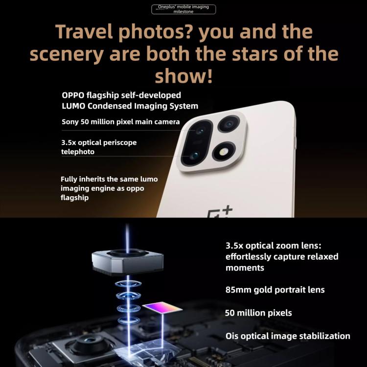 MPH4469_B18.jpg@85a09a2d6f3b08b2d4c06121830d66bf