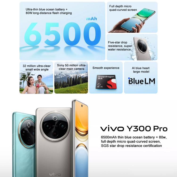vivo Y300 Pro, 8GB+256GB, Face ID / Screen Fingerprint Identification, 6.77 inch Android 14 OriginOS 4 Snapdragon 6 Gen 1 Octa Core, OTG, Network: 5G (Black)