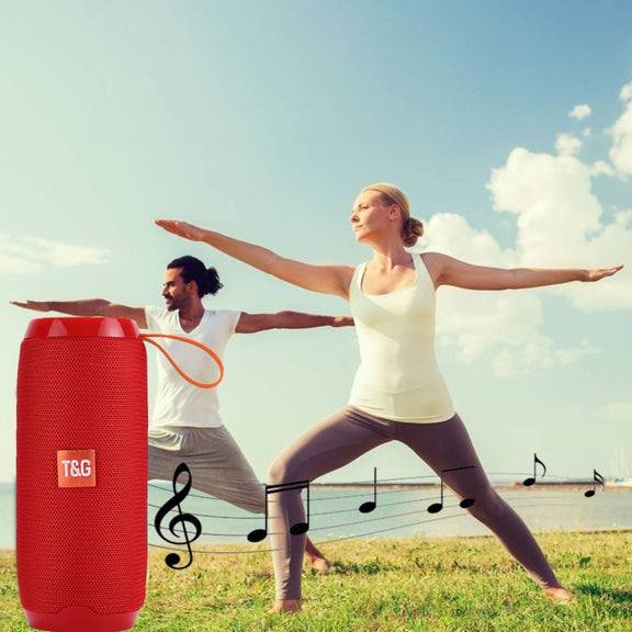 T&G TG106 Portable Wireless Bluetooth V4.2 Stereo Speaker with Handle, Built-in MIC, Support Hands-free Calls & TF Card & AUX IN & FM, Bluetooth Distance: 10m