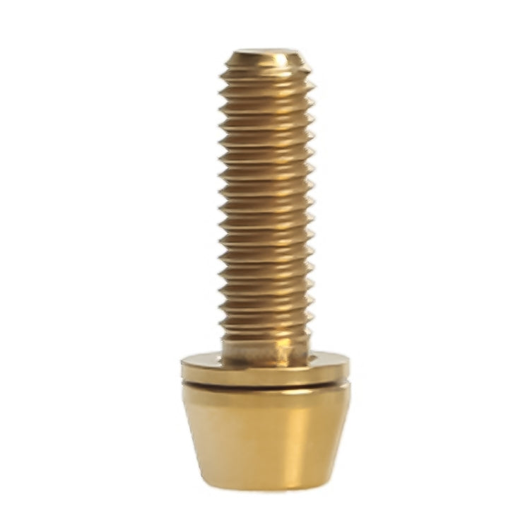 TOSEEK Bicycle Handlebar Stem Screw Titanium Alloy M5x16mm Mountain Bike  Fixed Gear Handlebar Stem Screw with Gasket (Gold) - Bicycle Grips by TOSEEK | Online Shopping South Africa | PMC Jewellery | Buy Now Pay Later Mobicred