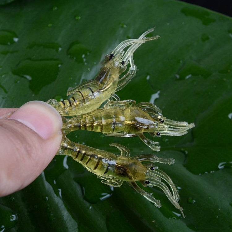 10 PCS 4cm Fishing Soft Bait Lures Popper Poper Baits(Fluorescent) - Fishing Lures by PMC TechLife | Online Shopping South Africa | PMC TechLife | Buy Now Pay Later Mobicred