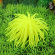 Aquarium Articles Decoration TPR Simulation Sea Urchin Ball Coral, Size: L, Diameter: 13cm(Yellow) - free shipping - PMc TechLife - Order now!