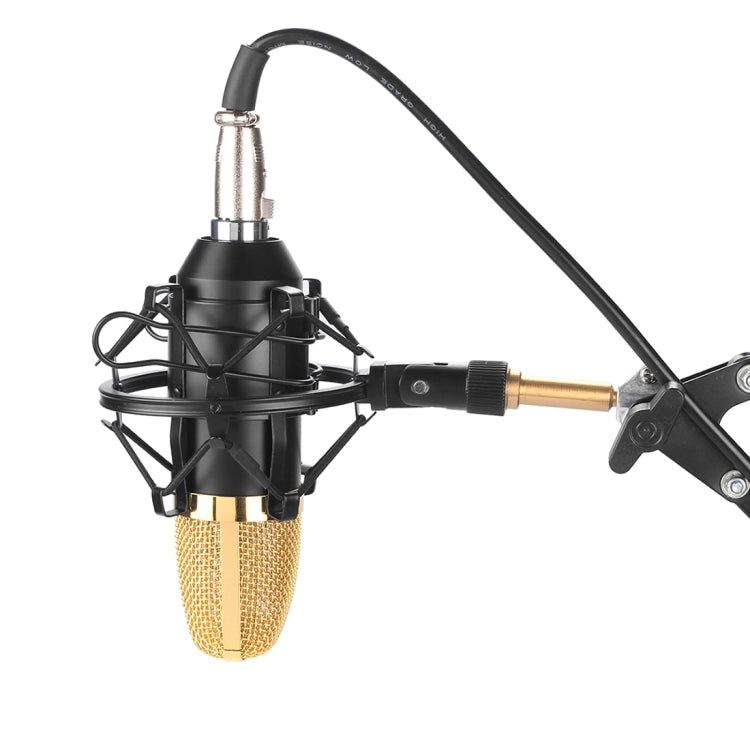 FIFINE F-700 Professional Condenser Sound Recording Microphone with Shock Mount for Studio Radio Broadcasting & Live Boardcast, 3.5mm Earphone Port, Cable Length: 2.5m(Black) - Microphone by PMC TechLife | Online Shopping South Africa | PMC TechLife | Buy Now Pay Later Mobicred