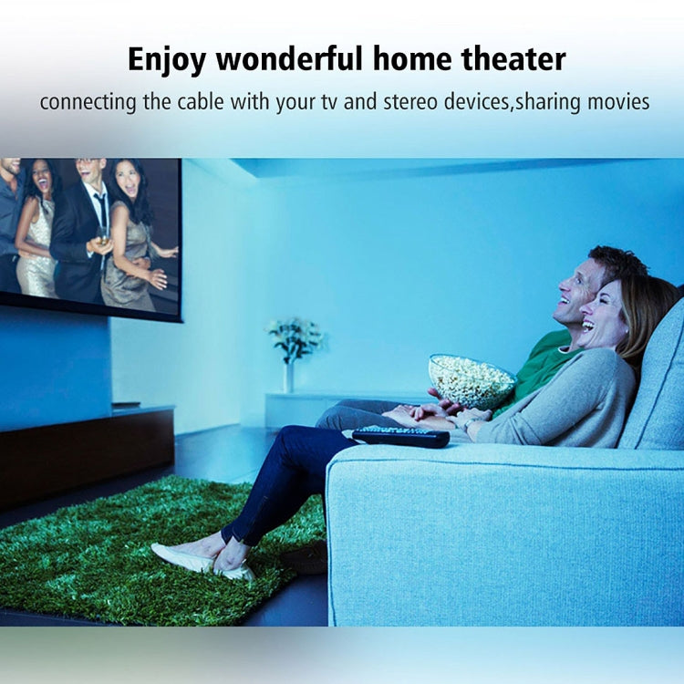 30m OD6.0mm Nickel Plated Metal Head Toslink Male to Male Digital Optical Audio Cable - Audio Optical Cables by PMC Jewellery | Online Shopping South Africa | PMC Jewellery | Buy Now Pay Later Mobicred